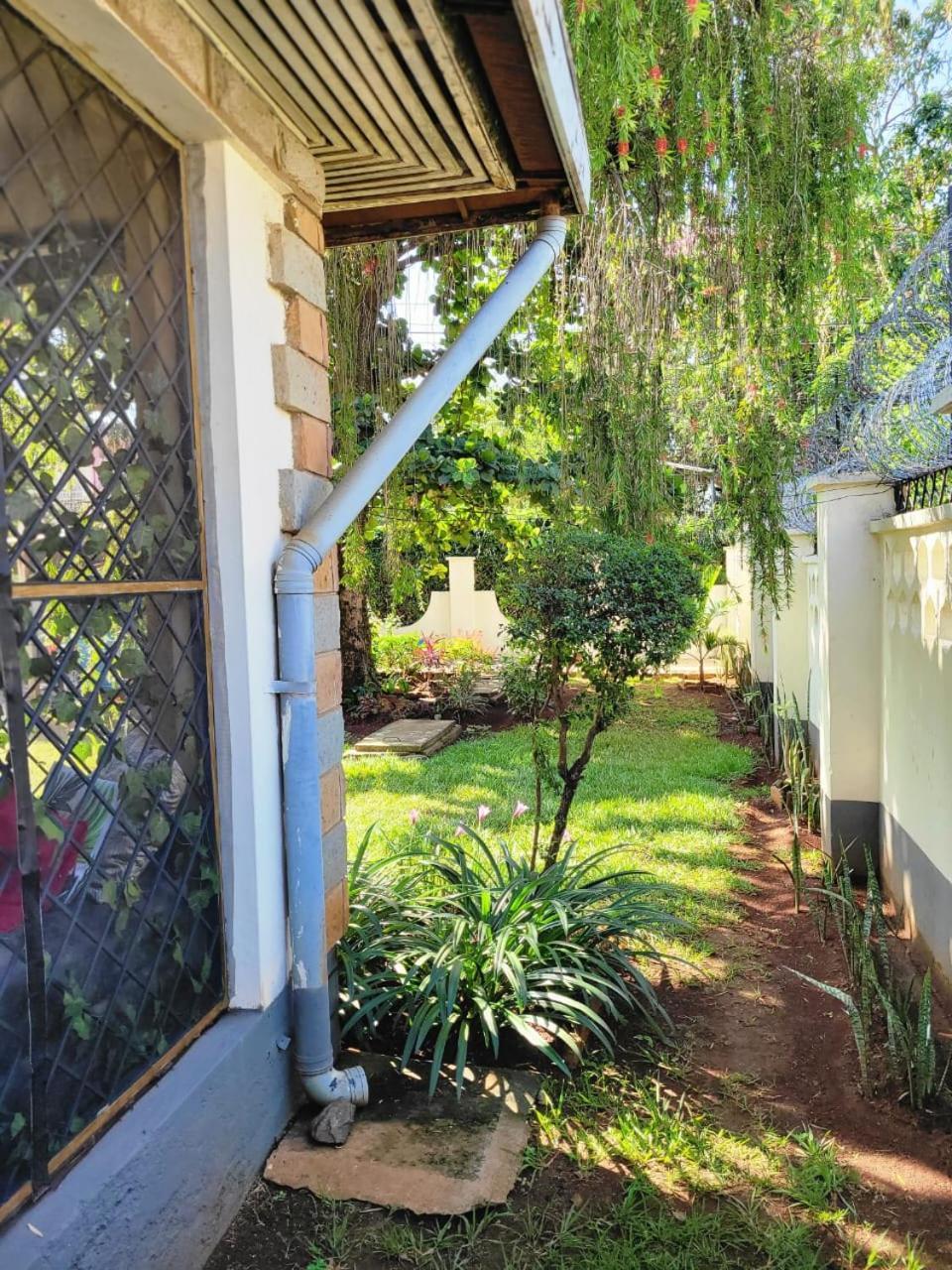Annodas Homes Milimani קיסומו מראה חיצוני תמונה